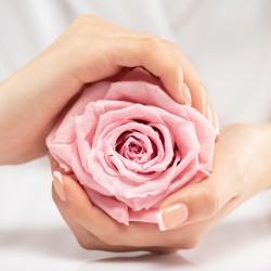 Nails Company UV Acrylic Gel  Baby Rose 15 g