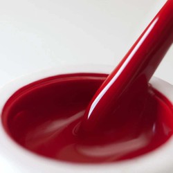 Elarto Żel Do Zdobień Art Gel Premium Red 5g