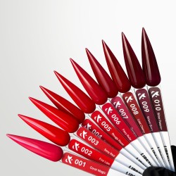 F.O.X Lakiery Hybrydowe Kolekcja Lipstick Zestaw
