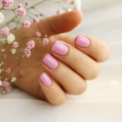 PALU Żel Budujący W Butelce Pro Master Silver Petal 11g