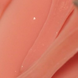 Eclair Żel Budujący Control Gel 2.0 Nude 30g