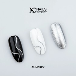 Nails Company Artistic Paint Gel Do Zdobień 5g Aundrey