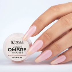 Nails Company Żel Do Zdobień Paintart Ombre Mousse Champagne  2,5g
