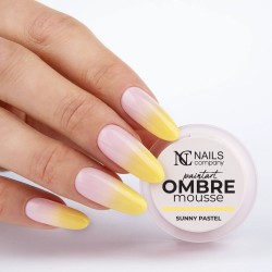 Nails Company Żel Do Zdobień Paintart Ombre Mousse Sunny Pastel 2,5g