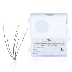 Wachlarzyki rzęsy 6w1 wonder lashes B 0,08 8mm