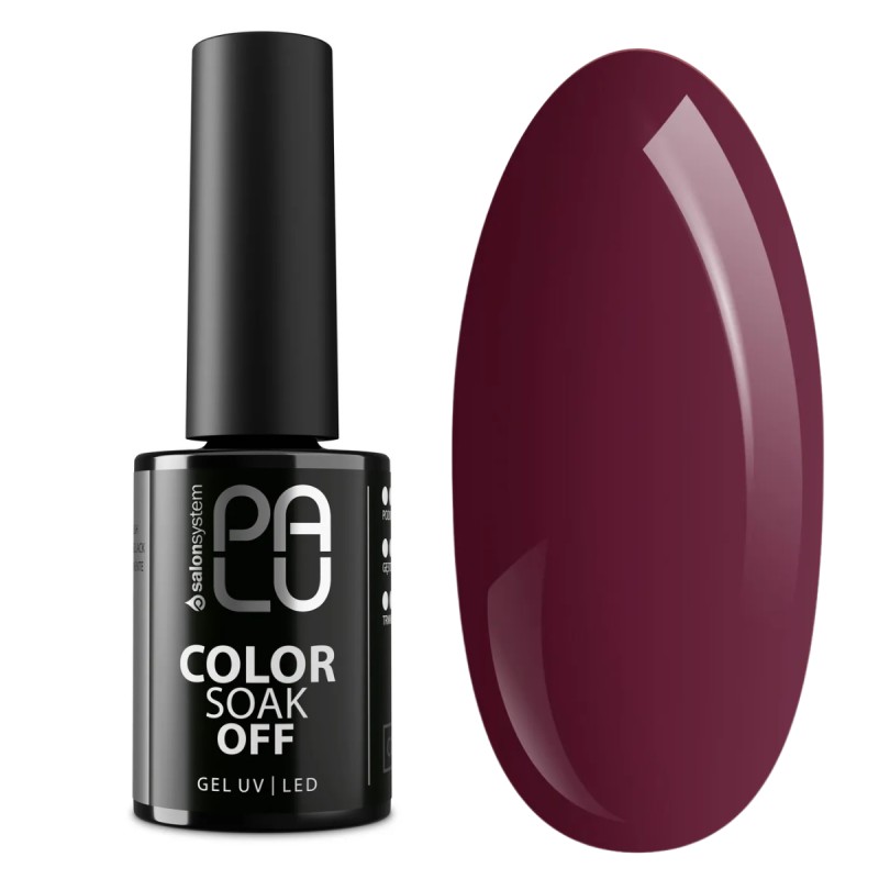 Palu Lakier Hybrydowy Prague PR9 11g Bordowy